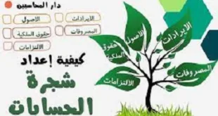 تعلم كيفية إعداد شجرة الحسابات